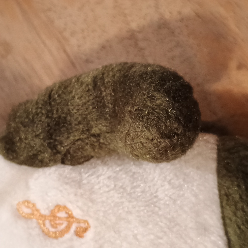 The Original Holy Bears Beanie Bear Sitting Green & White Plush Stuffed Animal - Picture 10 of 10